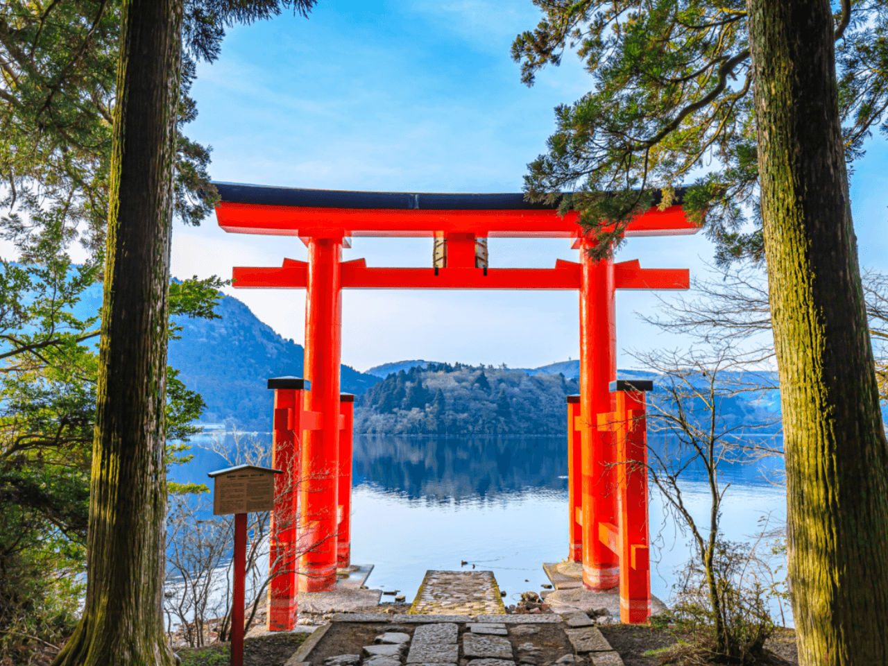 Private Hakone Journey: Mt. Fuji Scenery, Hakone Shrine, Onsen & Nature Escape