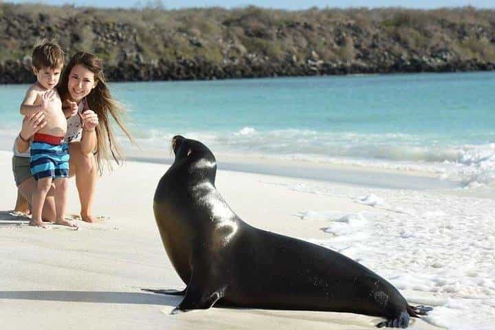 Full Day Española Island from San Cristobal - Musement