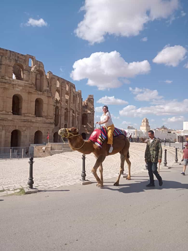 from Tunis,Hammamet,Sousse: visit 3 UNESCO SITES Kairouan,El Jem and Sousse