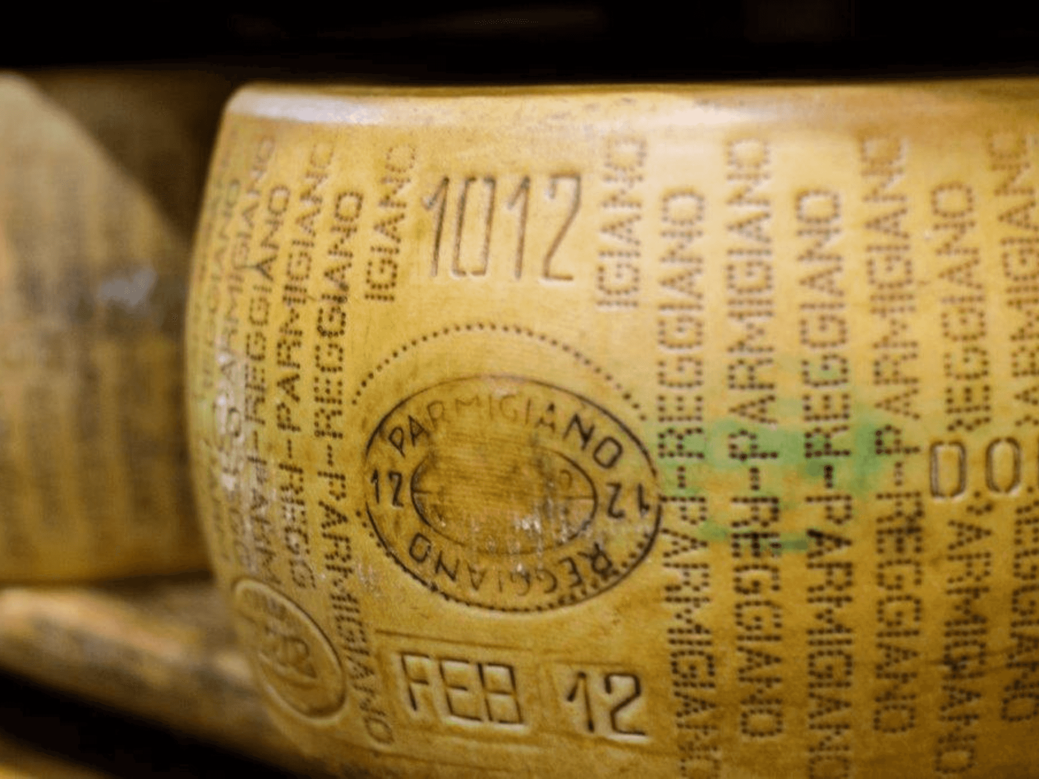 Parmesan Cheese Tour & Tasting in Modena