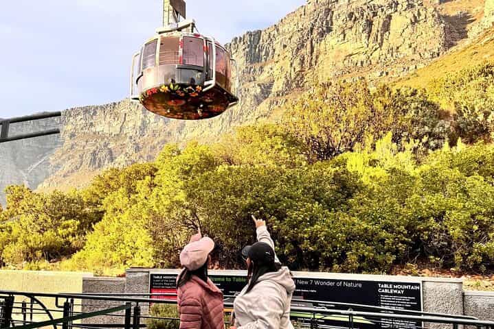 Table Mountain Half Day Group Tour with Pickup and Drop off 