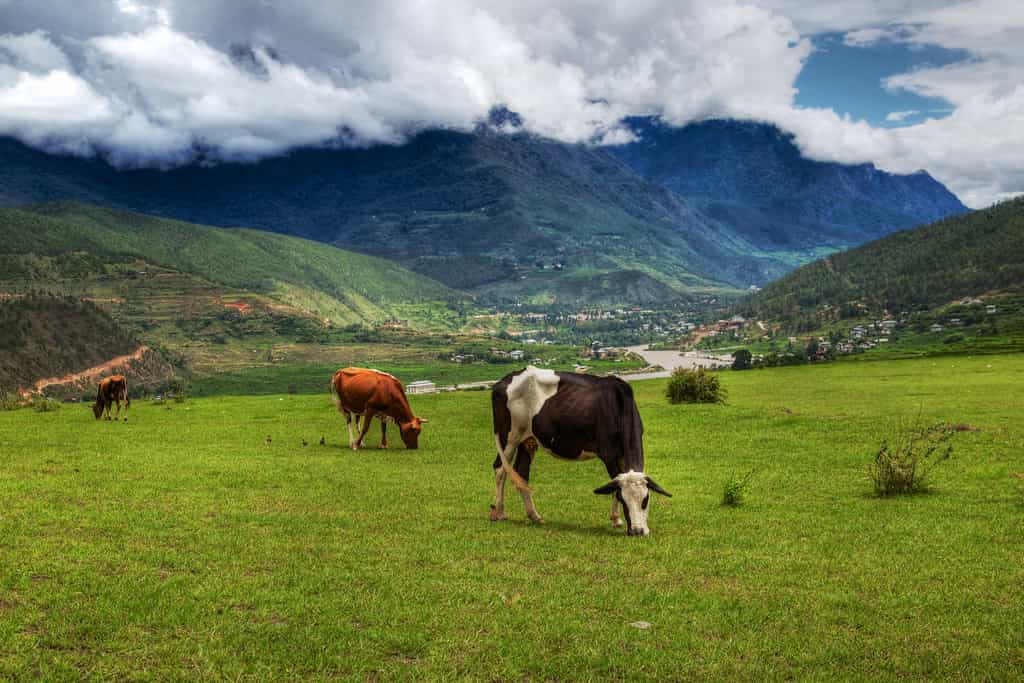 Magical Nepal Bhutan Tour - 15 Days