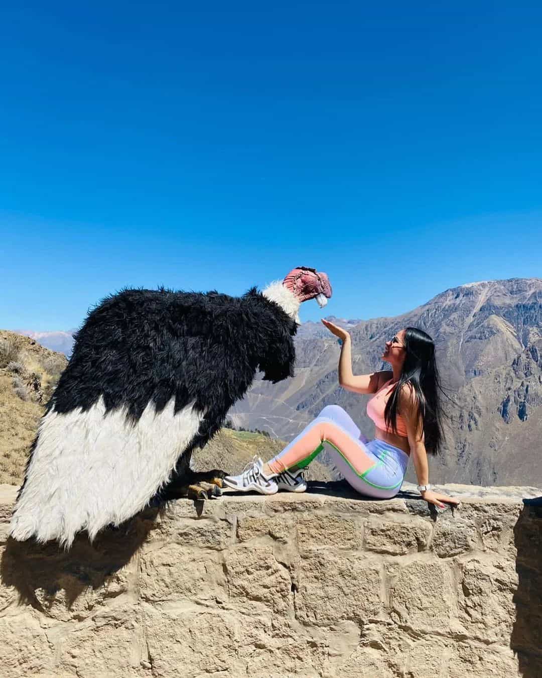 Pun-05 : Colca Canyon Discovery - 2 days Journey