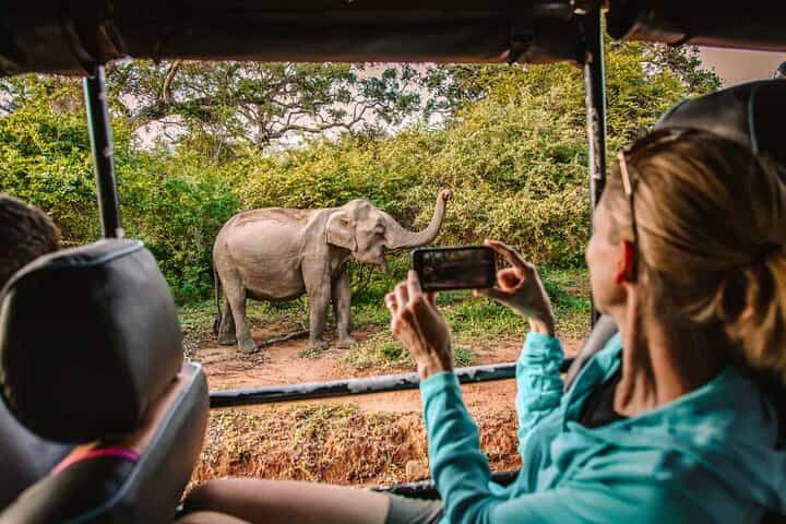 Day Tour Of Sigiriya Dambulla and Jeep Safari From Kandy