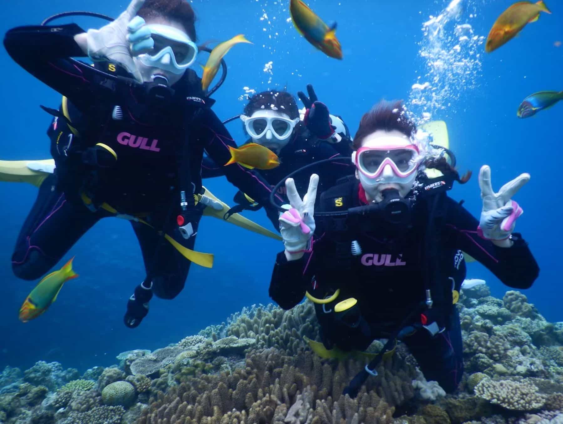 Okinawa: Discover SCUBA Diving 2 Dives at Minna, Sesoko or Motobu