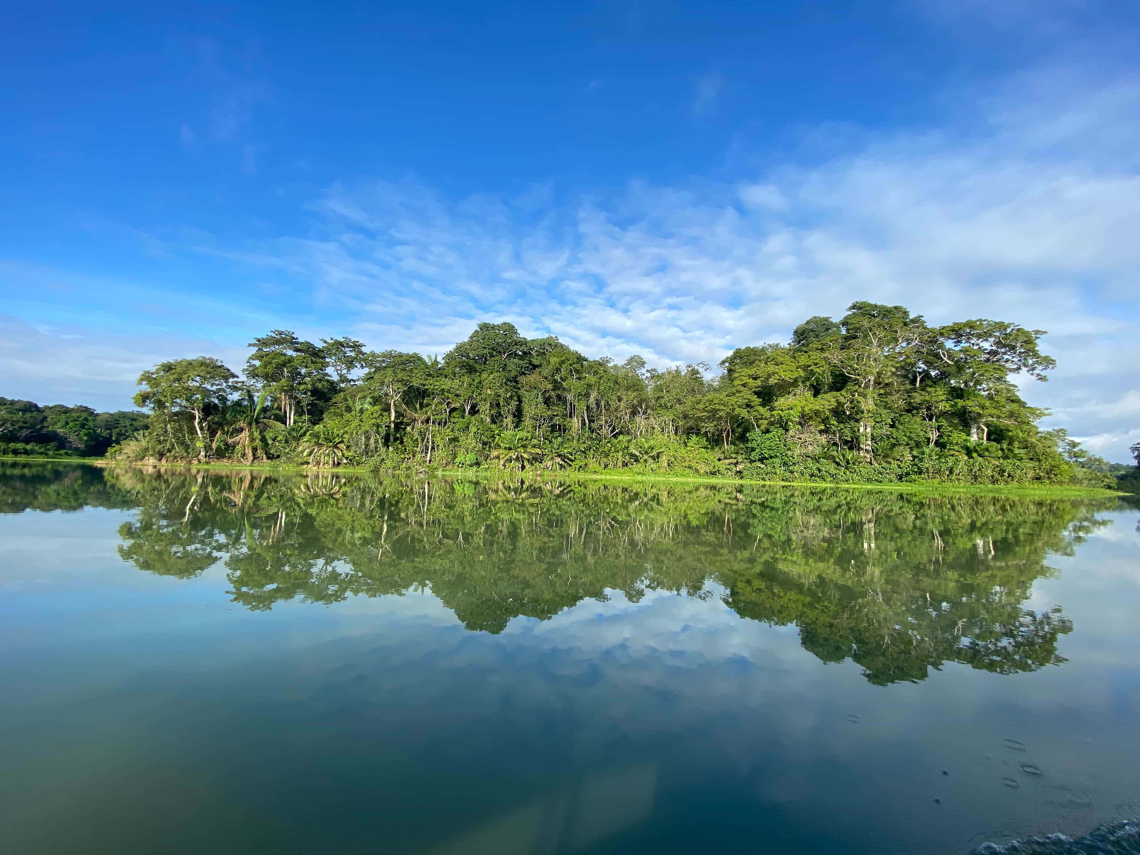 Rainforest Wildlife Adventure