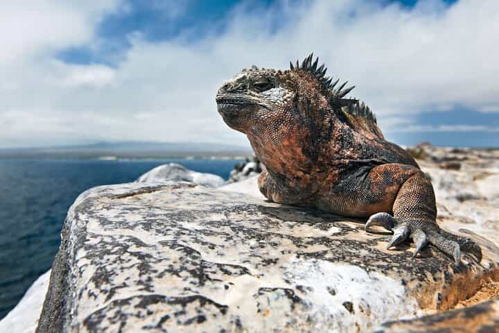  4-Day Galapagos Island Hopping Tour