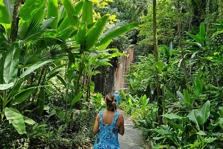 Gardens and Nature Chauffeur Adventures St. Lucia