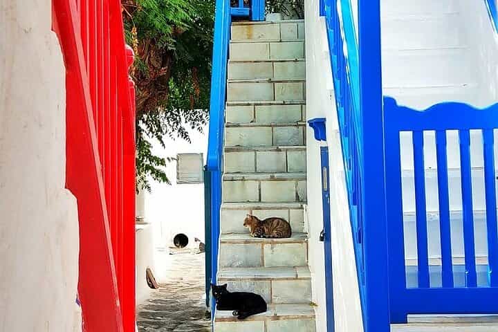 Private Mykonos Classic Island Tour