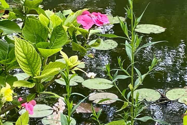Private Giverny Versailles Trianon Trip from Paris with Lunch.