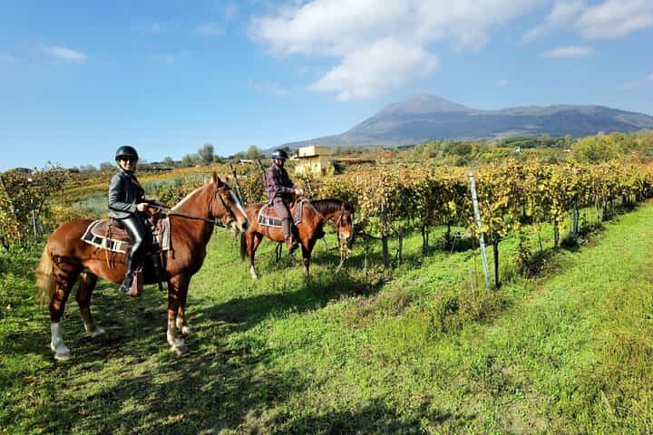 Pompeii Guided Tour & Horse Riding on Vesuvius with Lunch