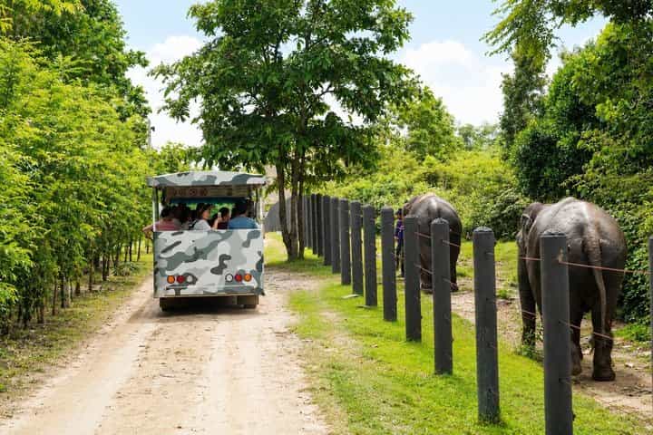 Hua Hin Wildlife Rescue Centre & Elephant Refuge Day Trip
