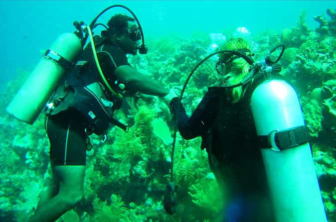 Roatan Discover Scuba Diving Experience