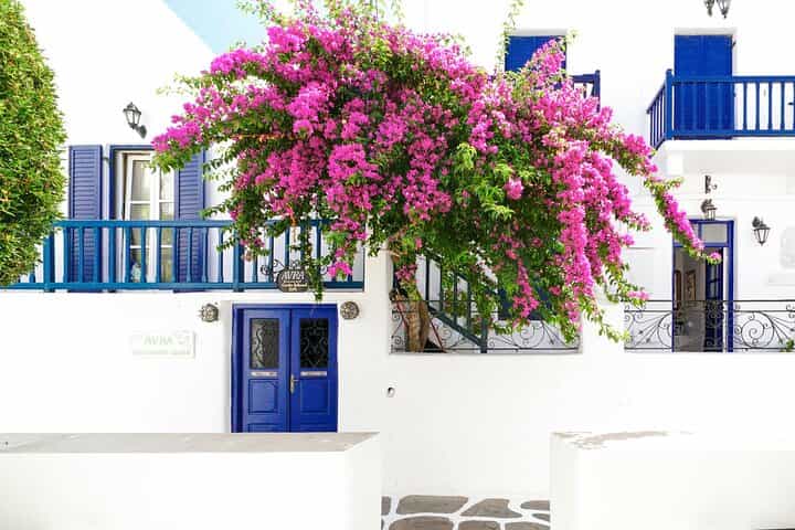 Private Tour in Mykonos with a Local