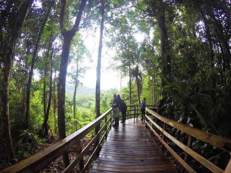 Veragua Rainforest Experience and Tram Ride in Puerto Limon