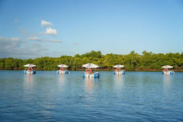 Self-Drive BBQ Cruise (2–6 Guests per Boat)