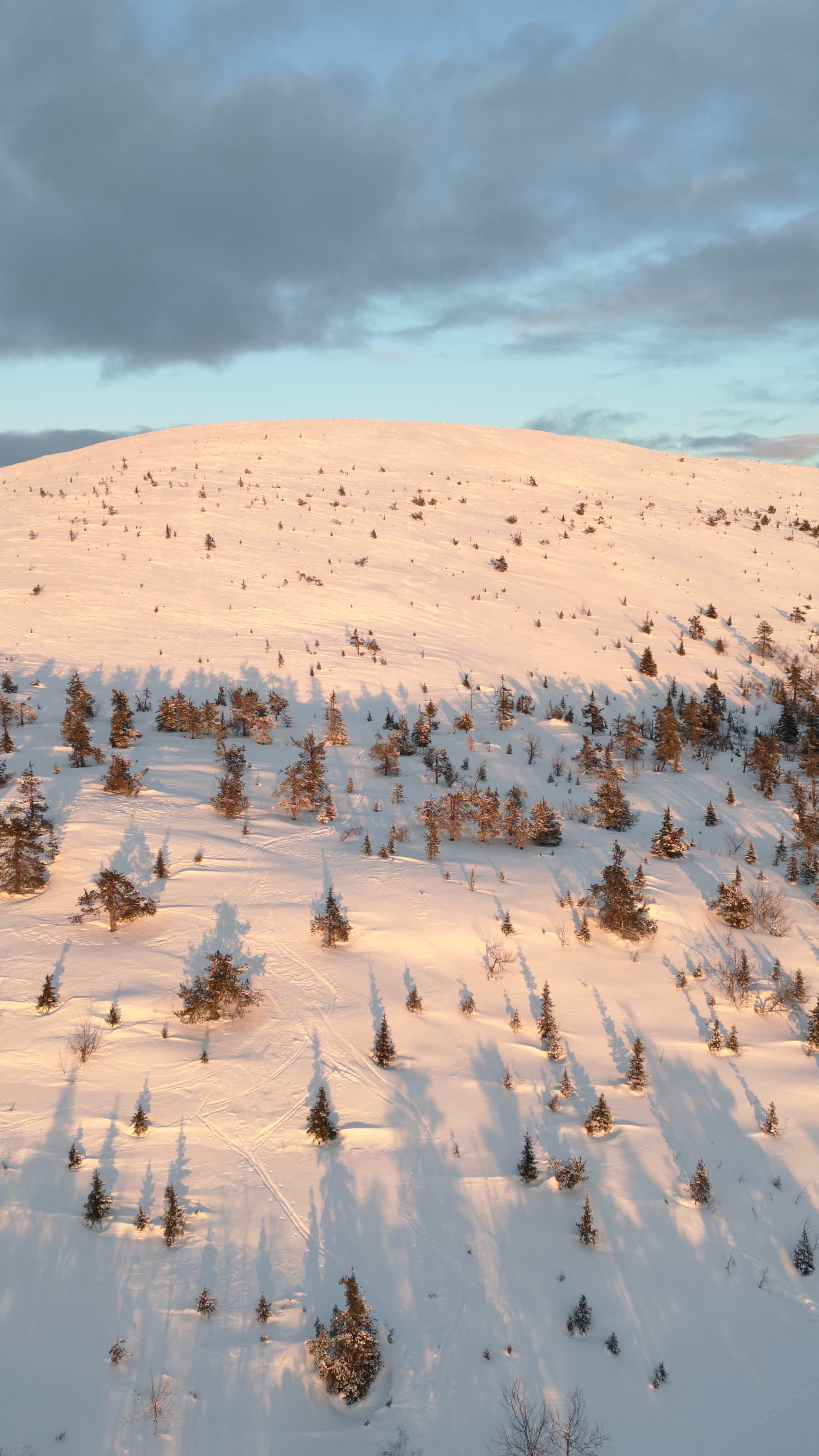 Half-day Snowshoeing Adventure in Levi