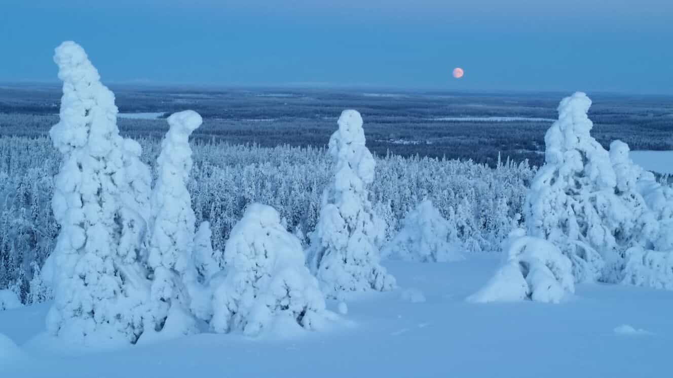 Full Moon Snowshoeing Tour in Riisitunturi National Park