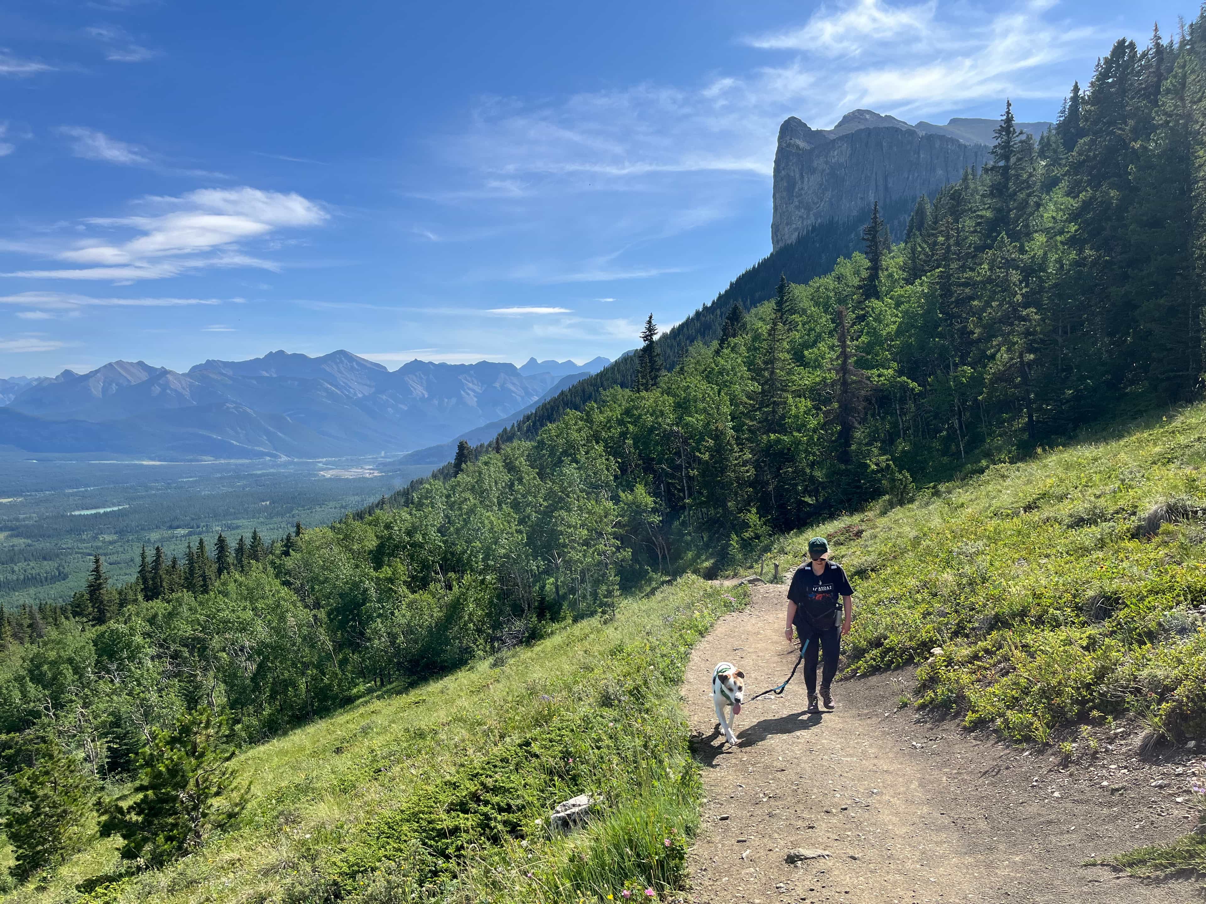 Private From Calgary | Kananaskis: Canmore Area (Guided Hiking Tour)