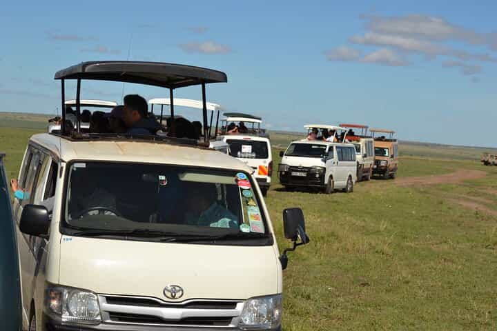 Nairobi Urban Safari: Half-Day Wildlife Adventure