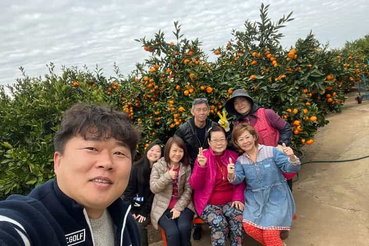 Small group tour FULL - PACKAGE Tour to All Areas in Jeju Island