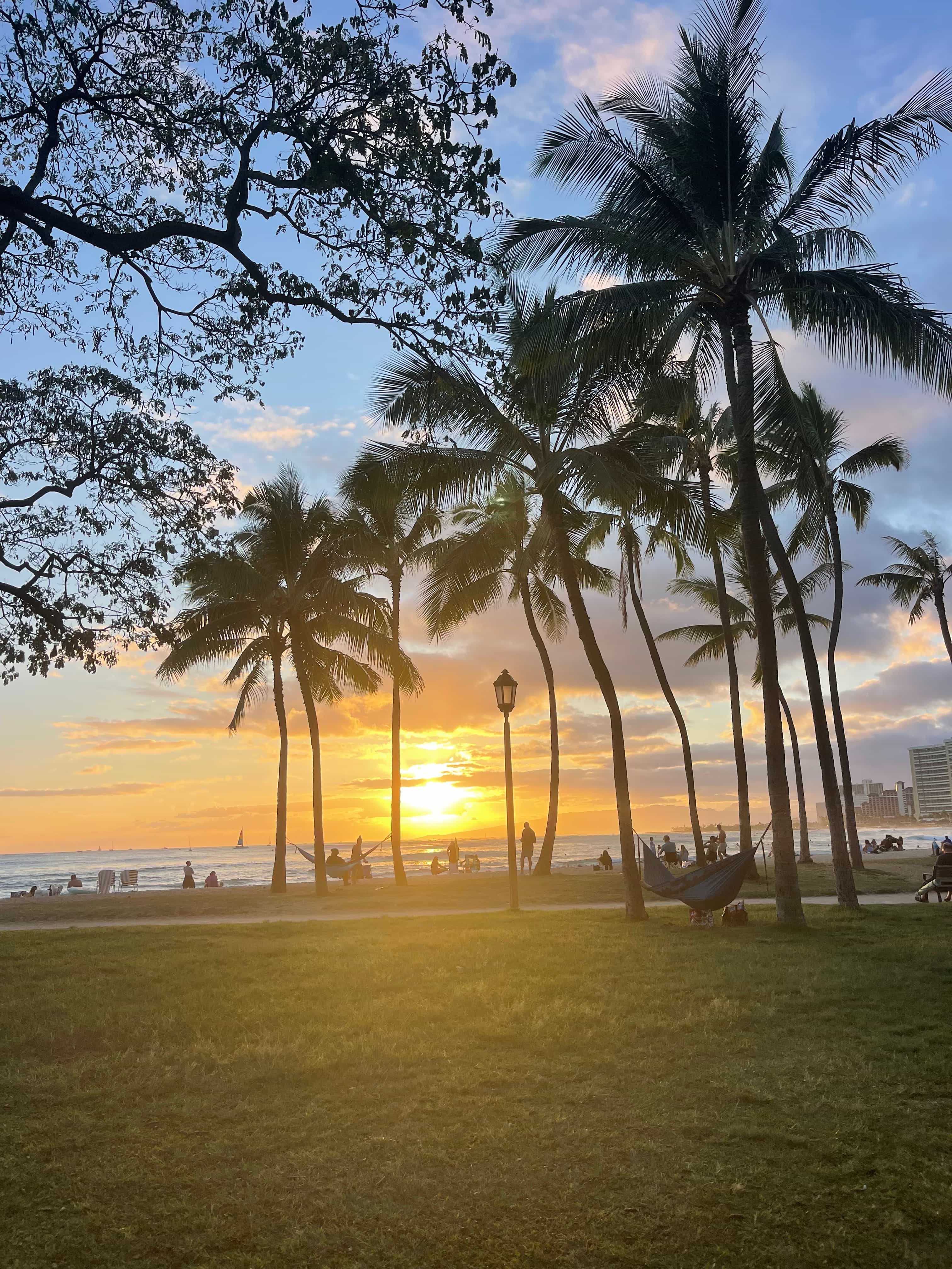 Circle Island Tour Full Day