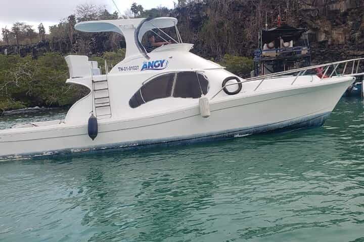Transfer from Isabela Island to Santa Cruz Island - Musement