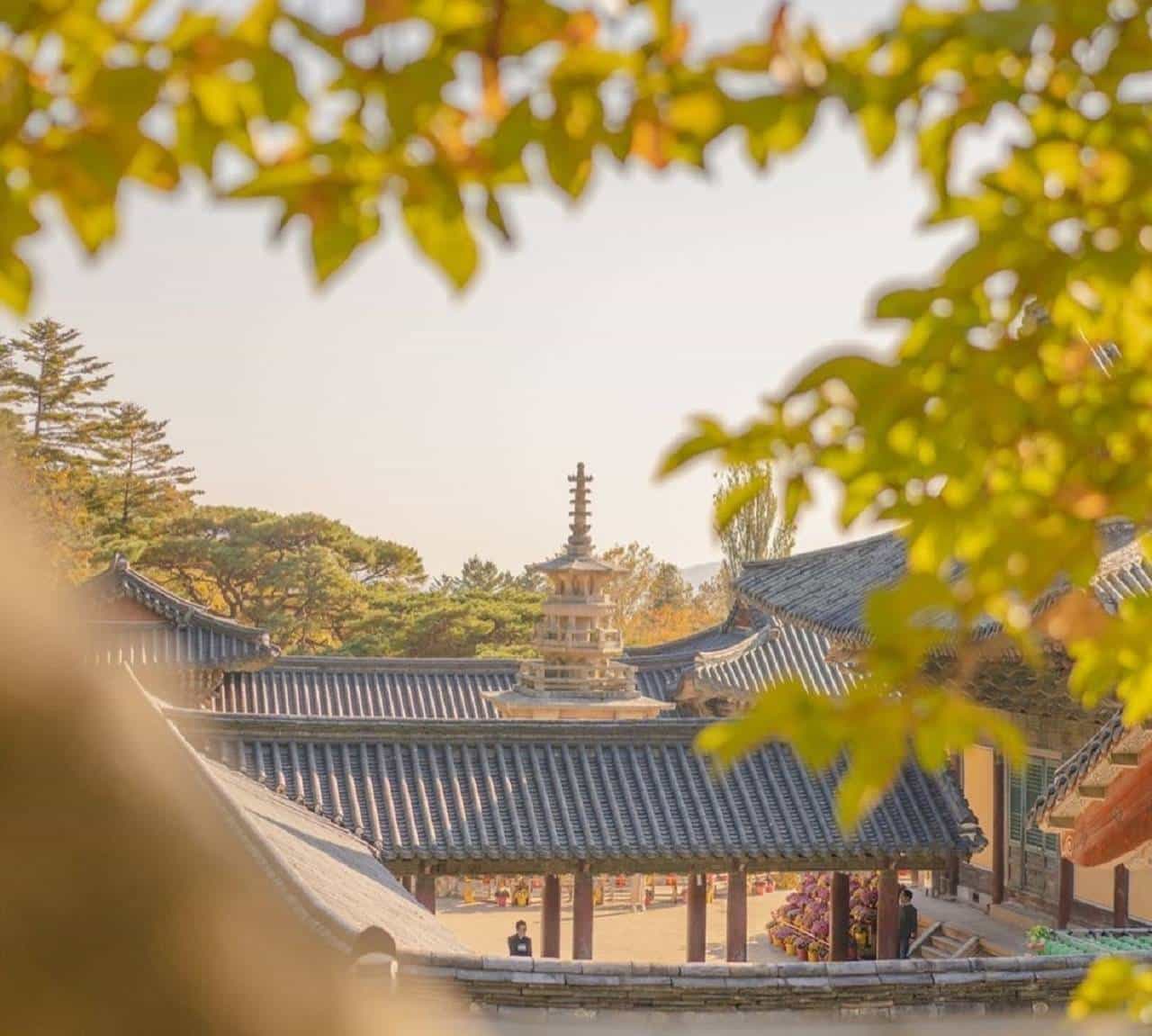 Private Gyeongju Tour - Explore Gyeongju UNESCO Sites