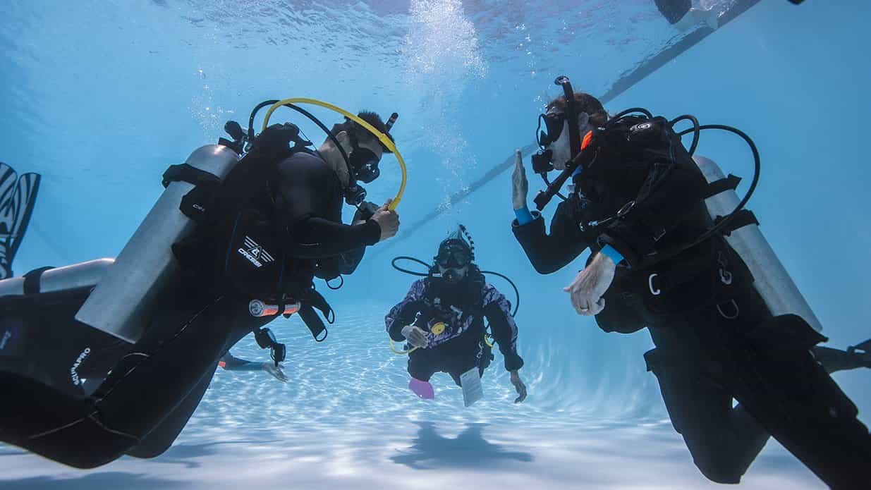 Abu Dhabi: PADI Reactivate Course