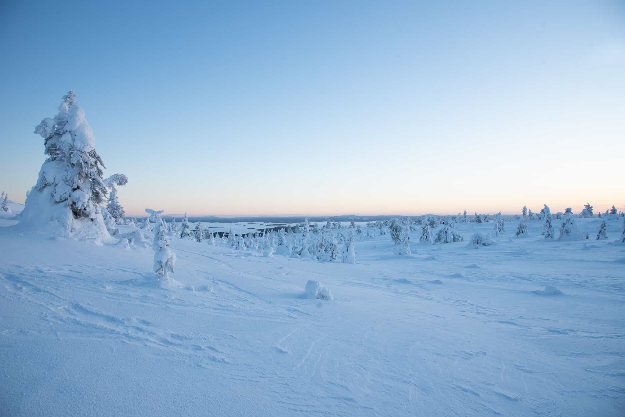 5KM HIKE IN RIISITUNTURI NATIONAL PARK THROUGH STUNNING ARCTIC LANDSCAPES (Optional: Snowshoes)