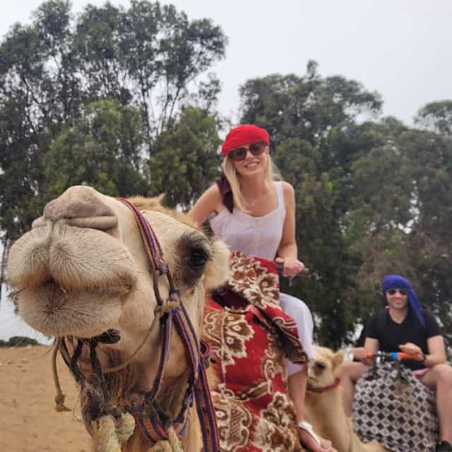 Agadir/Taghazout: Camel Ride along Flamingo River with Tea