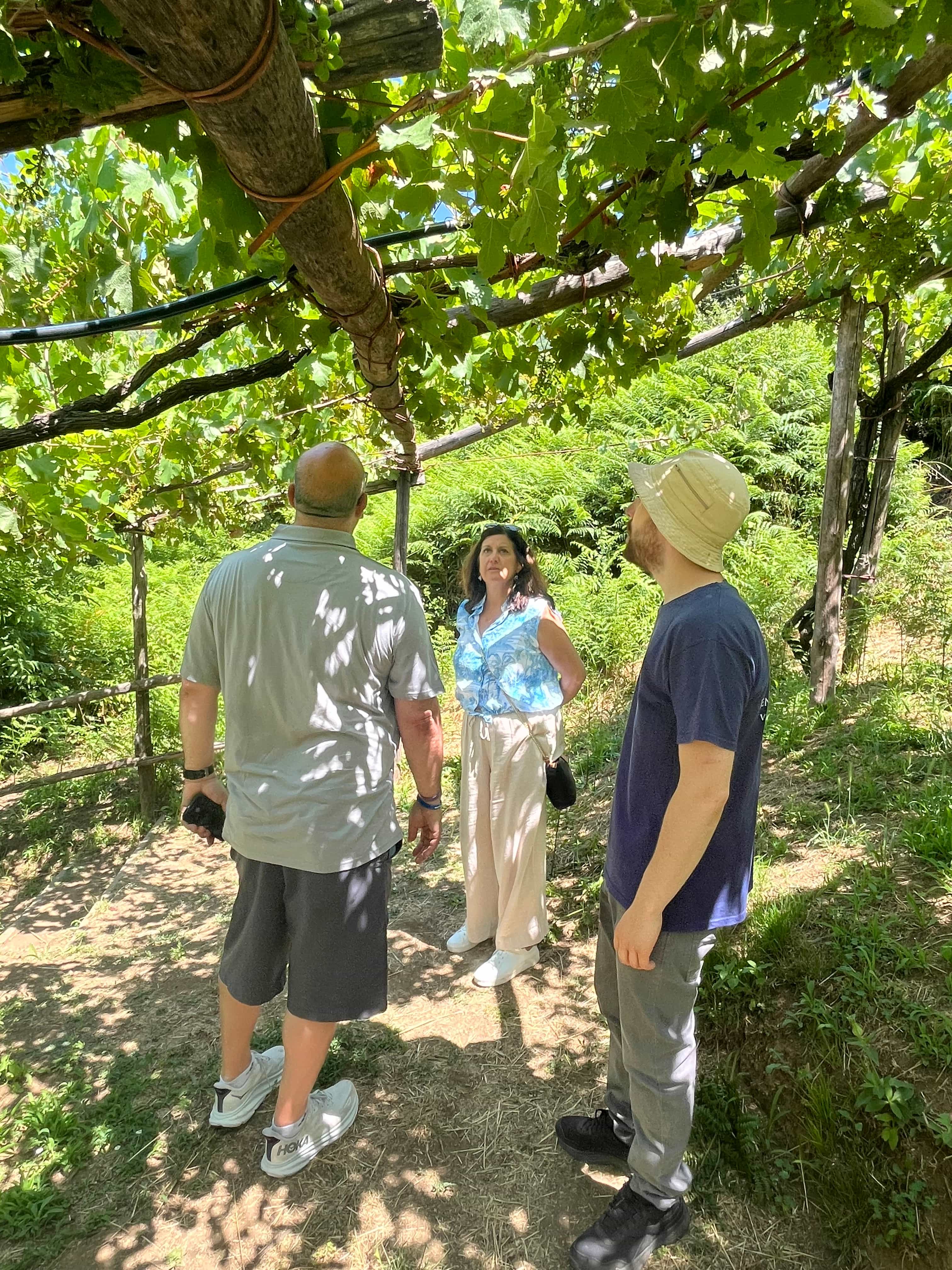 Amalfi Coast Tour and Wine Tasting with Lunch from Salerno