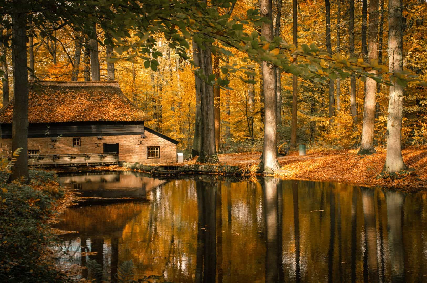 Netherlands Open Air Museum Ticket with Self-Guided Audio Tour