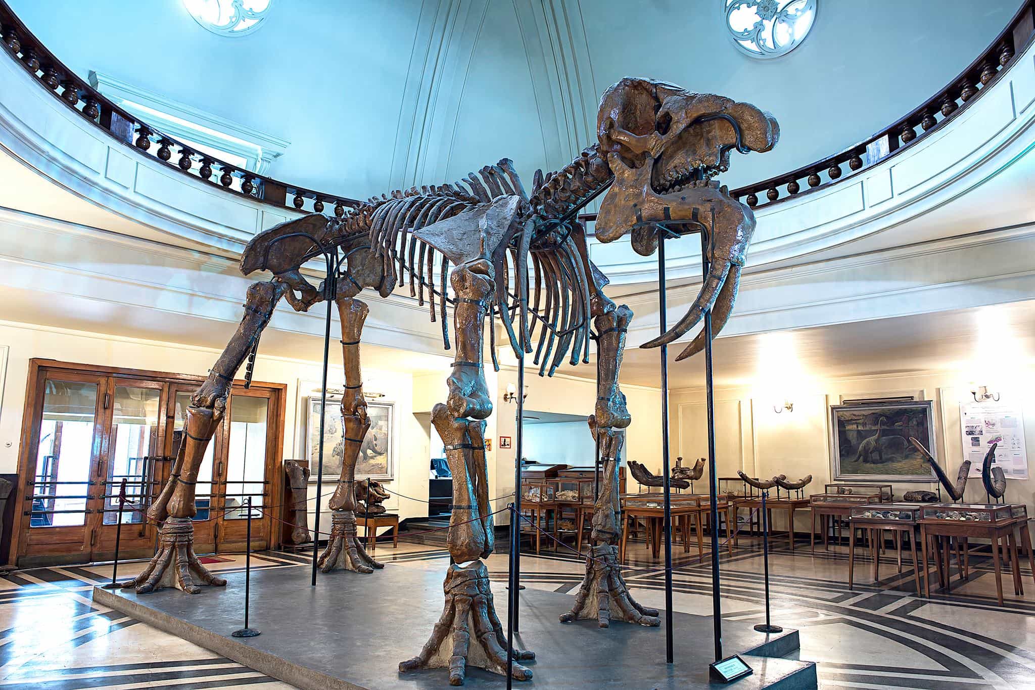 Audio Guide to the Museum Paleontology and Historical Geology in 3 languages