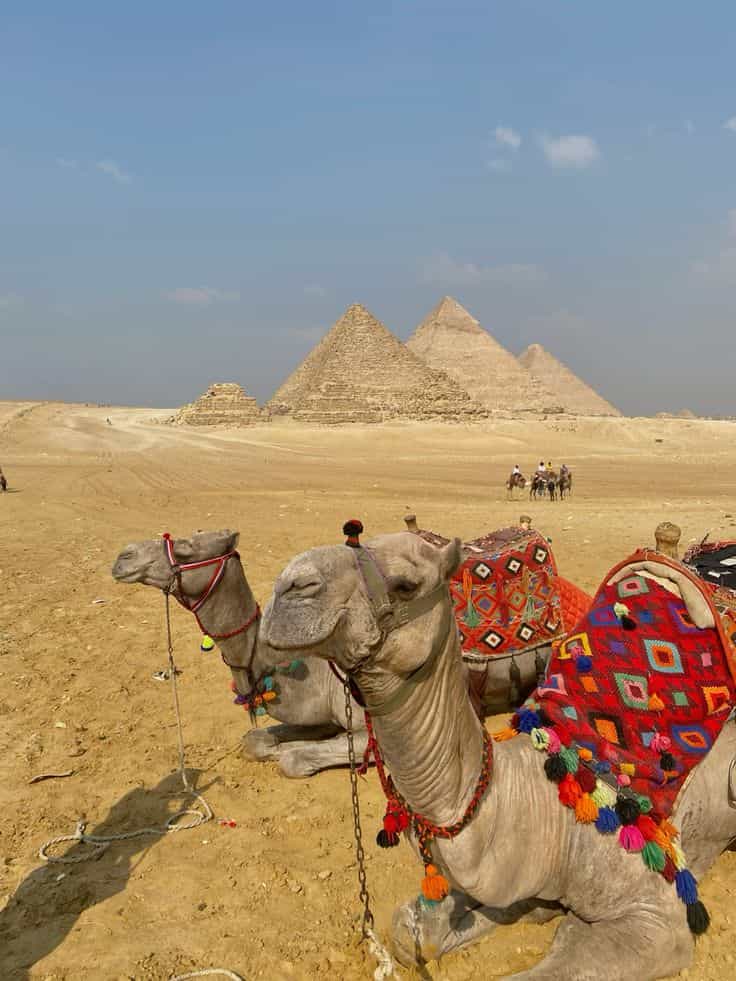 Full day Giza pyramids, Egyptian museum & Khan El Khalili Bazar