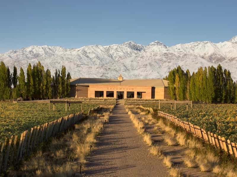 EXPERIENCIA VALLE DE UCO + ALMUERZO INCLUIDO