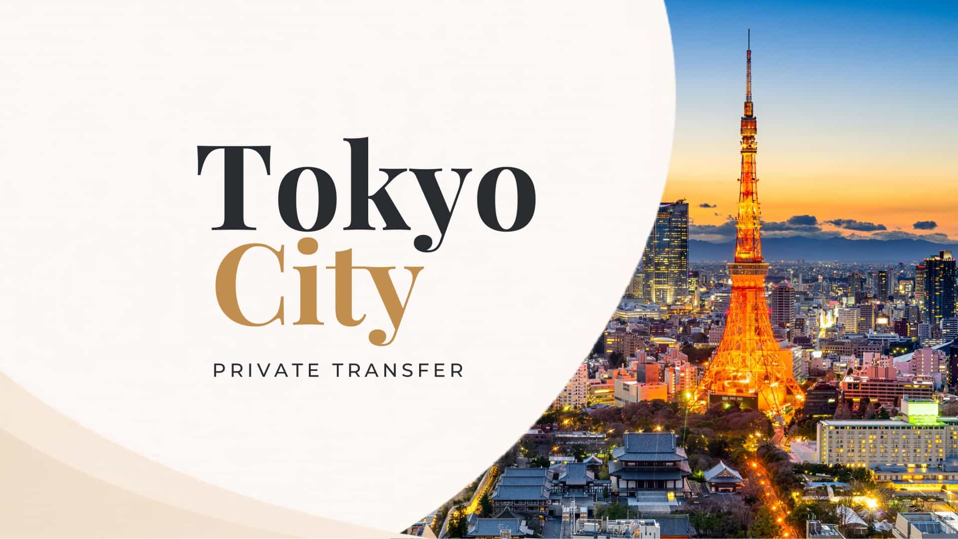 Tokyo City Private Transfer
