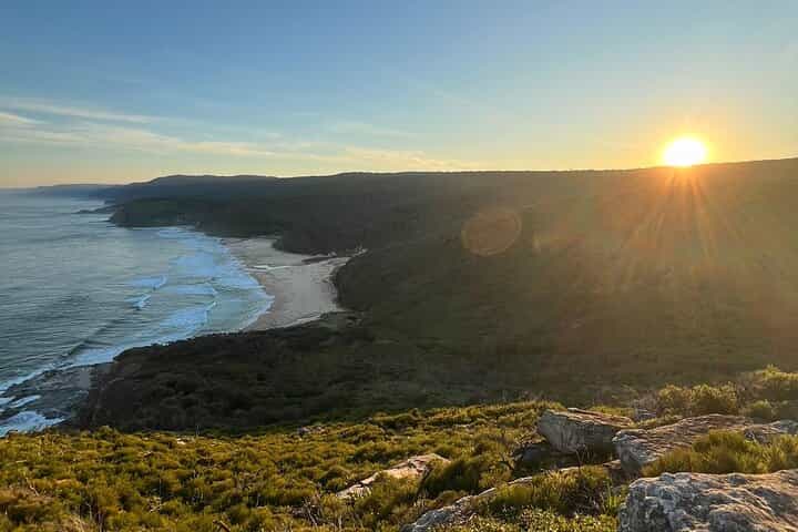 Royal National Park Private Tour & with Pick and Drop Off