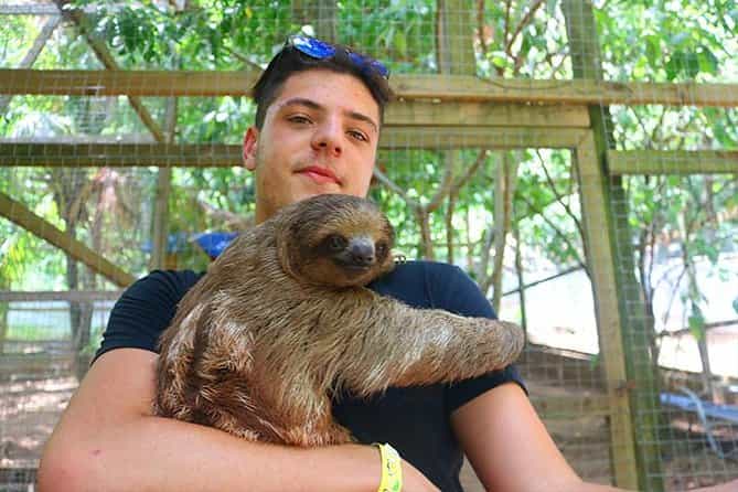 Roatan Sloths Encounters, City Tour and Transfer