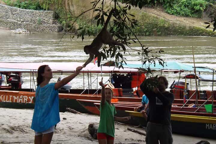 3 Days Amazon Tena From Quito