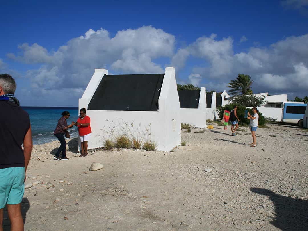 South Tour with Local Guide