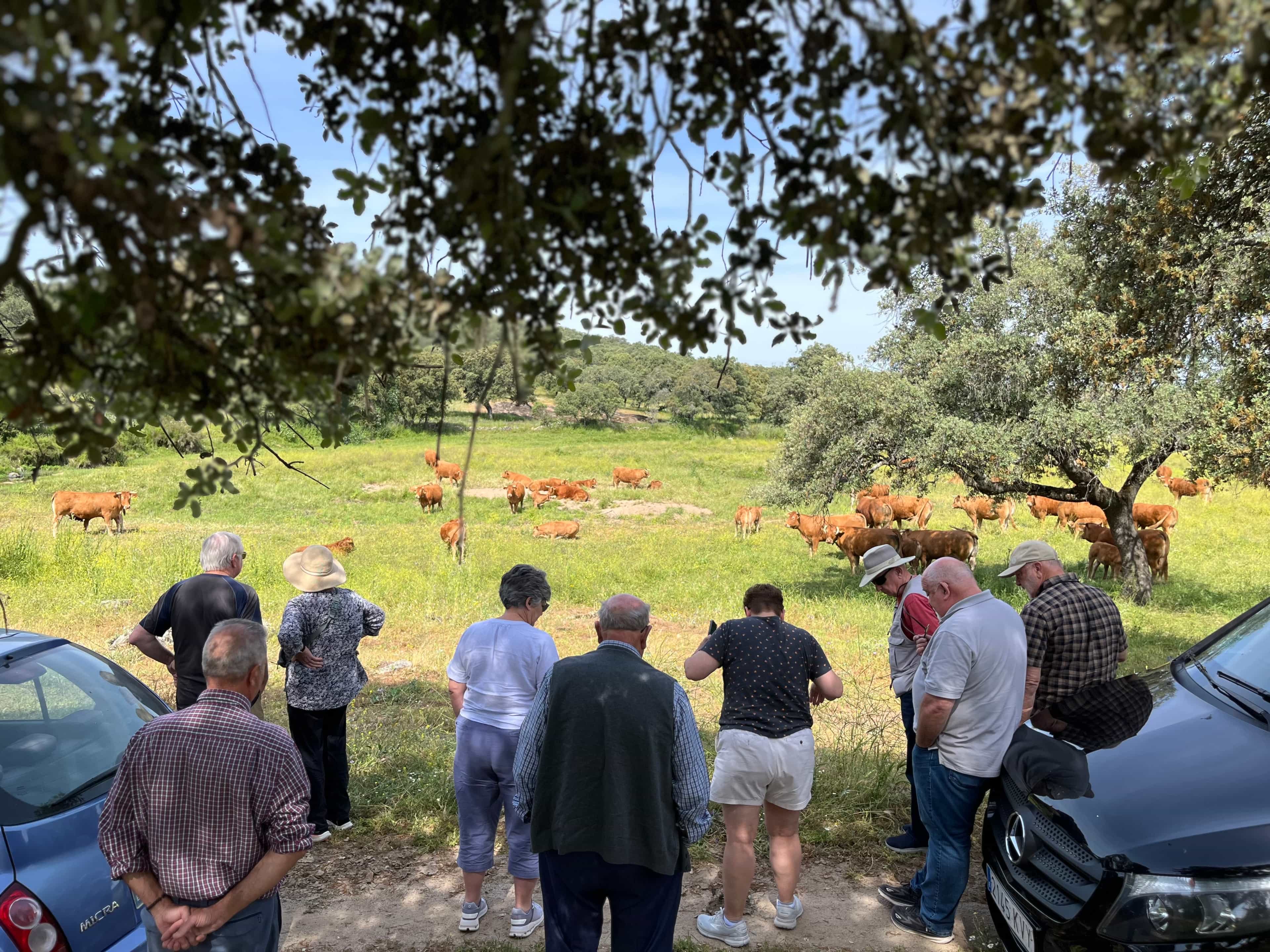Photographic Safari and Iberic Ham tasting 