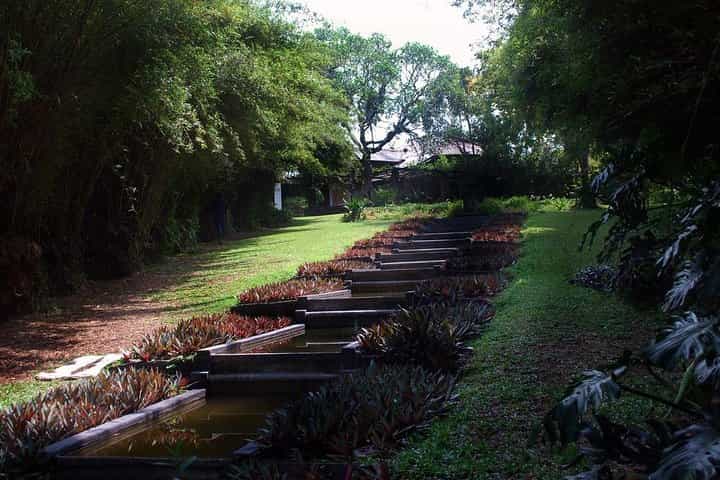 Bentota City Tour from Negombo