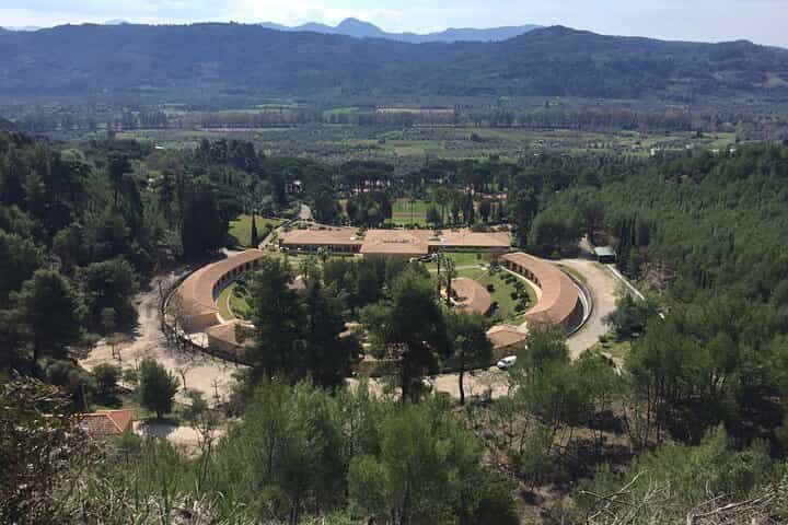 Private Excursion to Ancient Olympia - bee farm & winery