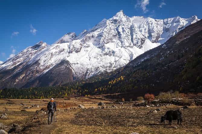 Manaslu Rupina La Pass Homestay Trek- 20 Days