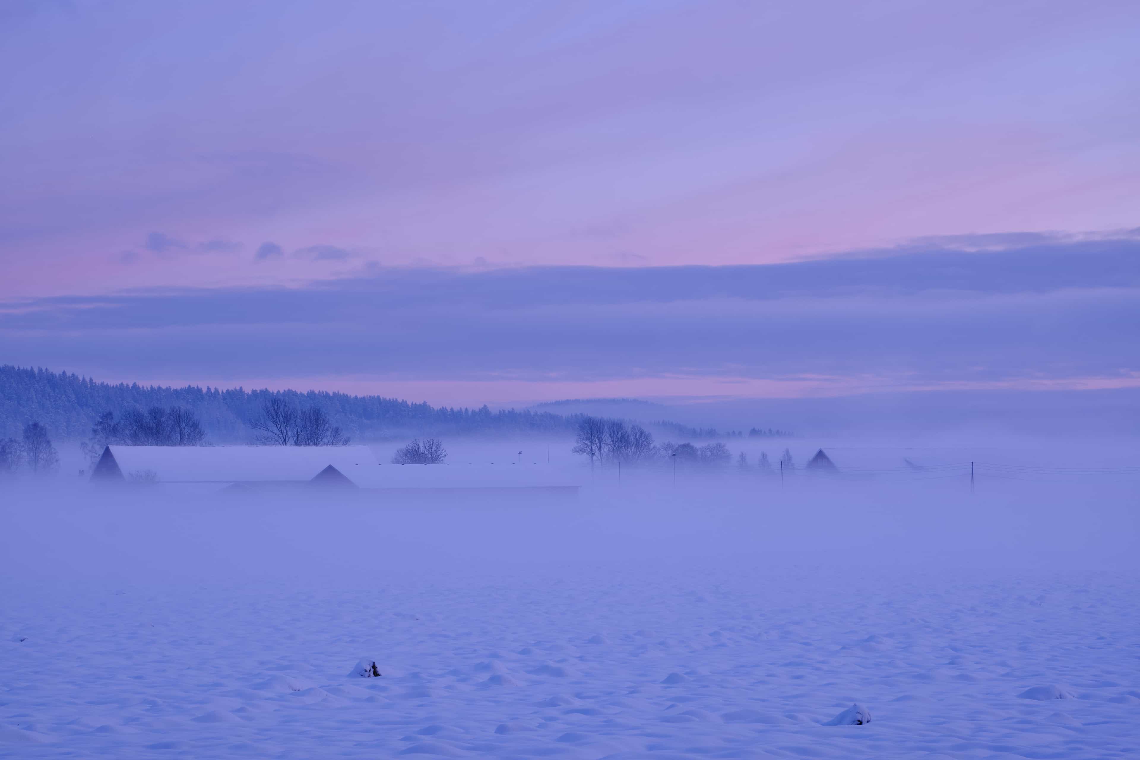 Snowshoeing and log sauna 