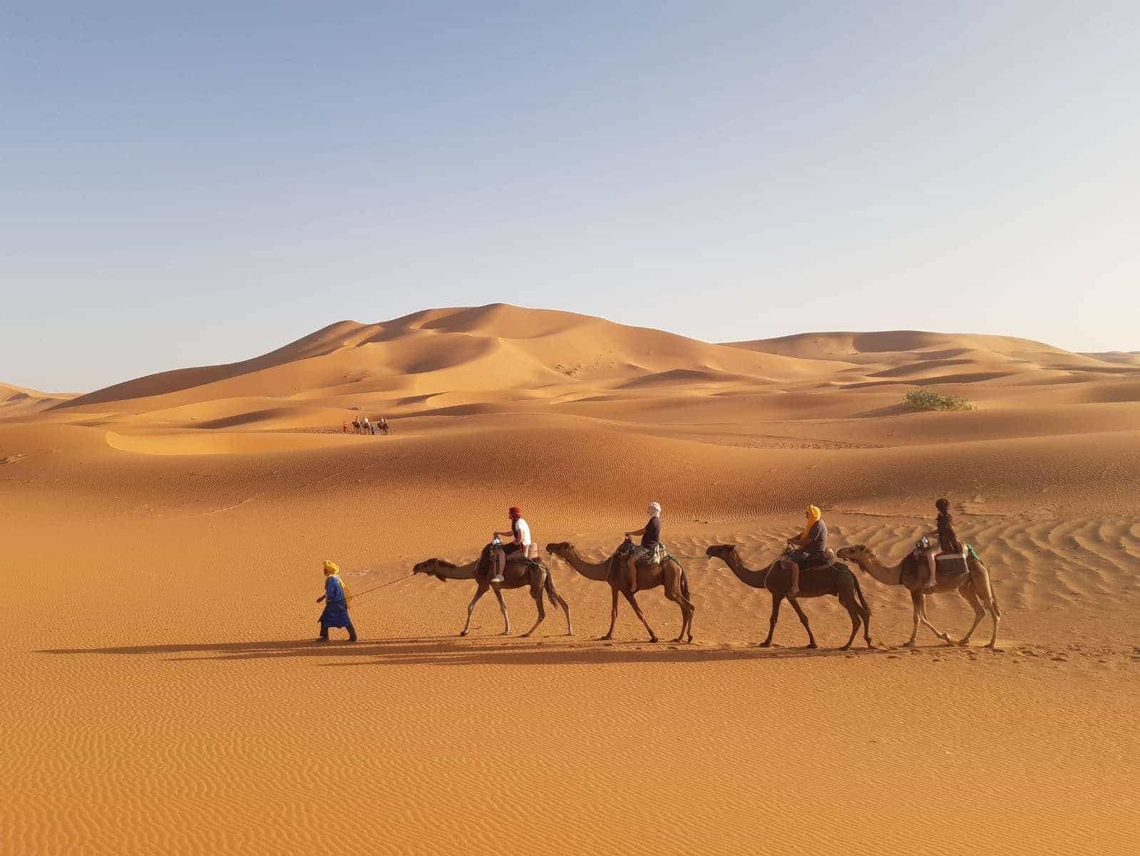 4-Day Sahara expedition: from Agadir to Merzouga