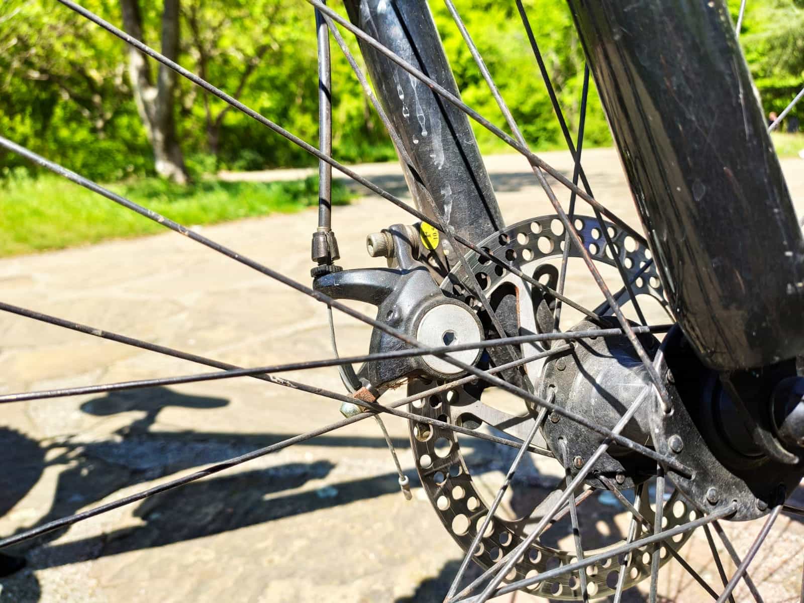 Private Full Day Cycling Tour in the Rhodope Mountains from Plovdiv or Smolyan