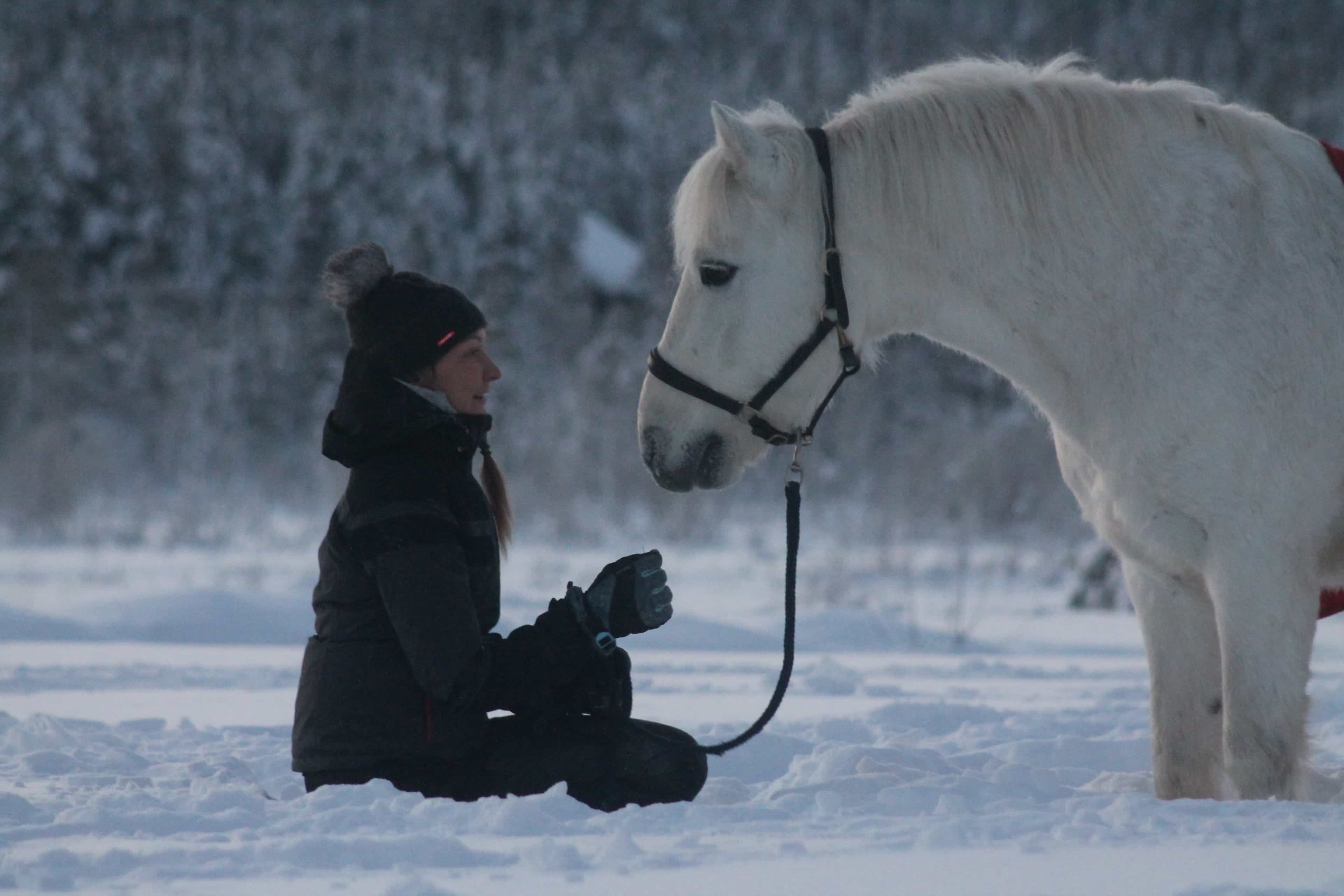 Wolverine's Way – Horseback trail ride