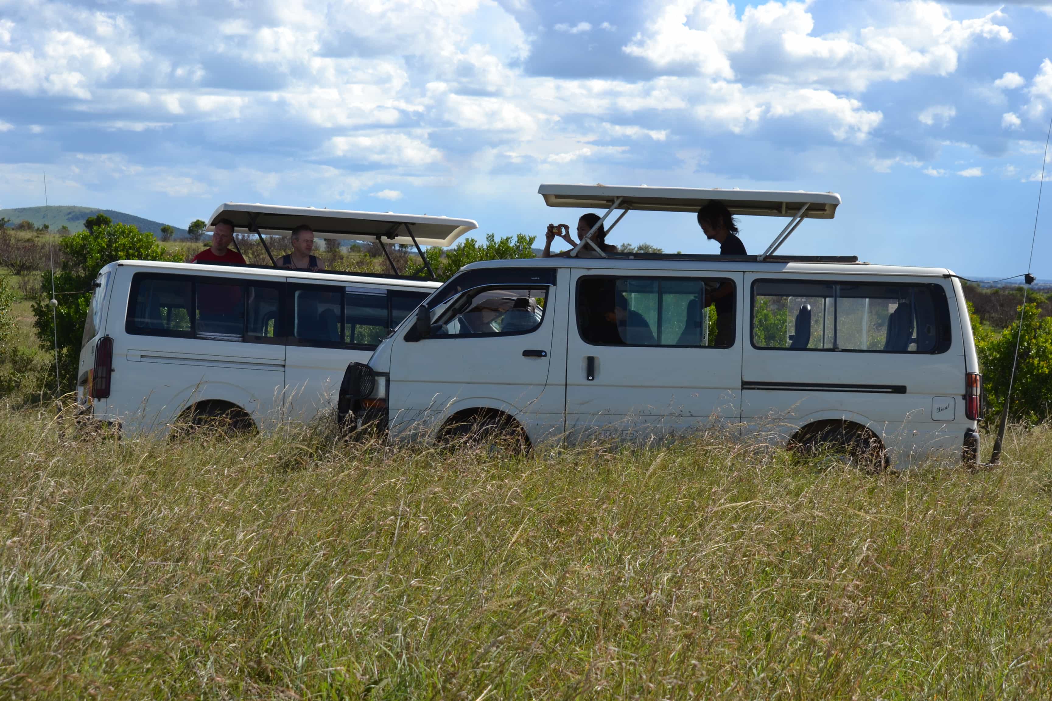 Best of Nairobi in One Day: National Park, Elephant Orphanage & Giraffe Centre